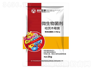 ΢�������-����ľù��-�v������