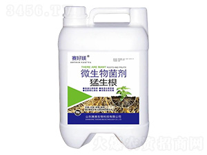 ΢�������-������-�v������