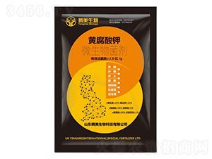 �S�����΢�������-�v������