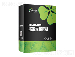 ˺�������ײ�-���A��