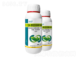 0.01%24-���|̦�؃�(n��i)��-���A��