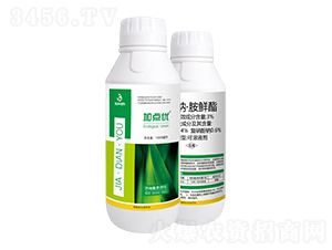 3%���c�����r��-���c(di��n)��(y��u)-���A��