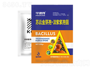 ���ٝ����ײ�2̖(h��o)-���A��