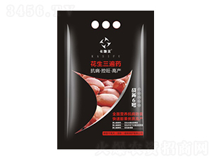 ��������ˎ-��(zh��n)��6̖(h��o)-��ţ��(gu��)�H