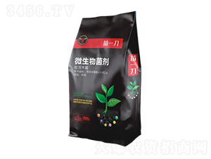 ΢�������-��һ��-��ţ���H