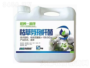 ���Sһ�΃�-�����r(n��ng)