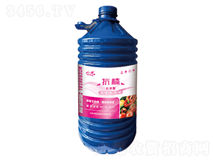 ���n������ͣ�-�ֈ@��-�A���SԴ