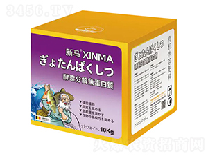 ���طֽ��~�����|(zh��)-���R-����