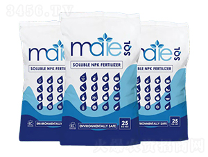 �ɉѴ���Ԫ��-����