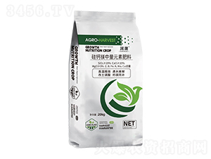 ���}�V����Ԫ�ط���-��(r��n)��-����ķ