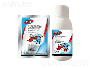 25%�����Ѿ���SC-�P��-һ�[�Ƽ�