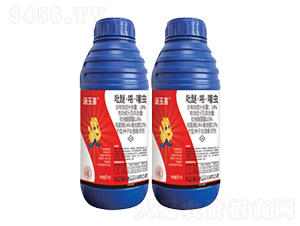 14%���򡤿�����N��̎��Ҹ�����FS��-����ϲ-�л�����ƌW(xu��)