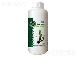 ���~���sҺ-����-�ЅR�r(n��ng)�I(y��)