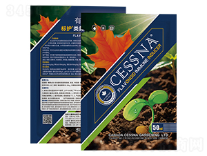 ��Sͪ�����T����-���o-�ЅR�r(n��ng)�I(y��)