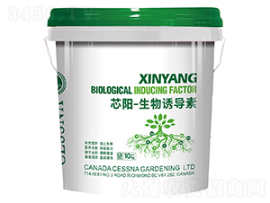 о�-�����T����-�ЅR�r(n��ng)�I(y��)