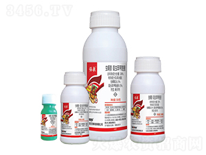 38%�x(ch��ng)���桤���x(ch��ng)���������Ҹ���-֎��-��������