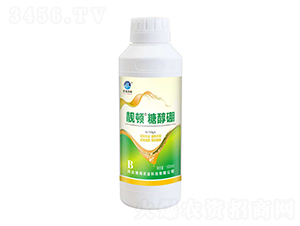 �n�D�Ǵ���-��������