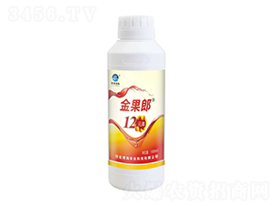 �����12Ԫ��-��������