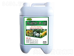 �}�A������-���S¡-��(qi��ng)����