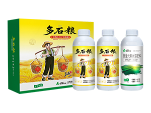 ����С�����ЙC(j��)�ᣨ������Y��-��ʯ�Z-�{(l��n)���r(n��ng)�I(y��)