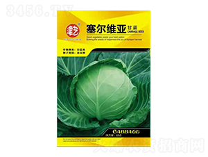 ���{(l��n)�N��-ِ���S��-���S�r(n��ng)�I(y��)