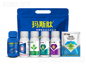 С���ײ�-��˹��