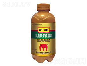 �ӝɼt�نΰ���-����������-����ú