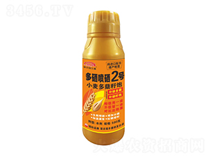 С�����Y���������2̖(h��o)-�����r(n��ng)��