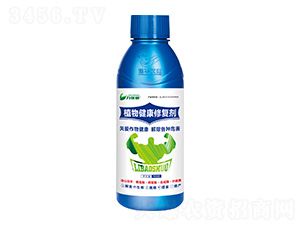 ֲ�｡���ޏ�(f��)��-�����T-���A�r(n��ng)�I(y��)