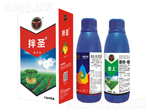 ���x(ch��ng)������˪�`+ή�P�������p-��ʥ-��ţ��(gu��)�H