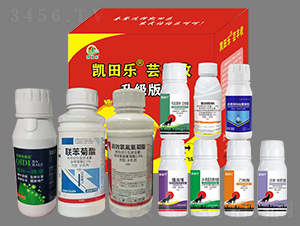 �|�S�գ�ʮ��һ��-�P�