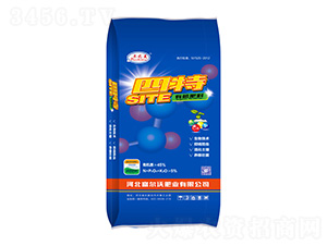 �ЙC����-����-�����ַʘI(y��)