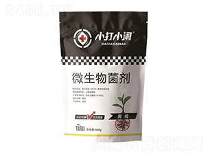 ΢�������-�ھ�-С��С�[-��������