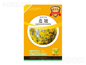 �B�NľϬ����ˎ�Č���̎�턩-���S��-�瘷���r(n��ng)�I(y��)