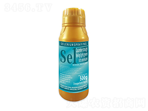 500g�S����ֱ���G����-����1̖(h��o)-�����r(n��ng)��