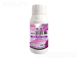 ���S�M(j��n)���|̦��-�����r(n��ng)��