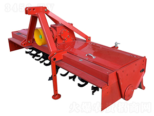 �����C-���S�r�I(y��)