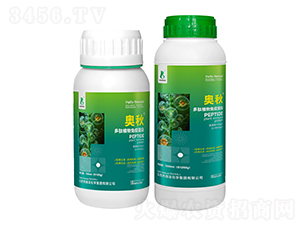 ����ֲ�����ߵ���-�W��-���r(n��ng)�W��