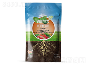 ΢��������ۄ�100�|��(f��)�Ͼ�������-�_������-�ƴ�Ƽ�