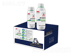 ������ǵ�-�B(y��ng)������