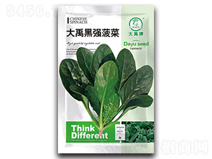 �����ڏ����˷N��-�����N�I(y��)