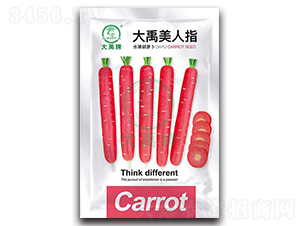 ��������ָ�}���N��-�����N�I(y��)