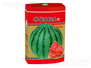 ���8424���ϷN��-�����N�I(y��)