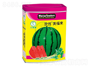 ����(y��u)������(l��i)���ϷN��-�����N�I(y��)