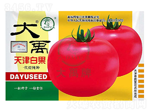 ���׹����ѷN��-�����N�I(y��)