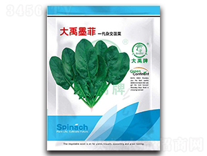 ����ī�Ʋ��˷N��-�����N�I(y��)