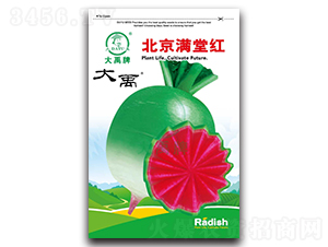 �����M�üt�}���N��-�����N�I(y��)