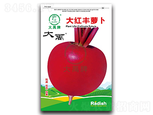 ��t�S�}���N��-�����N�I(y��)