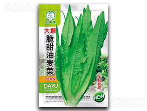 ��������˷N��-�����N�I(y��)