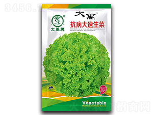 �����������˷N��-�����N�I(y��)